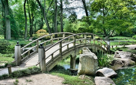 原神石珀在哪